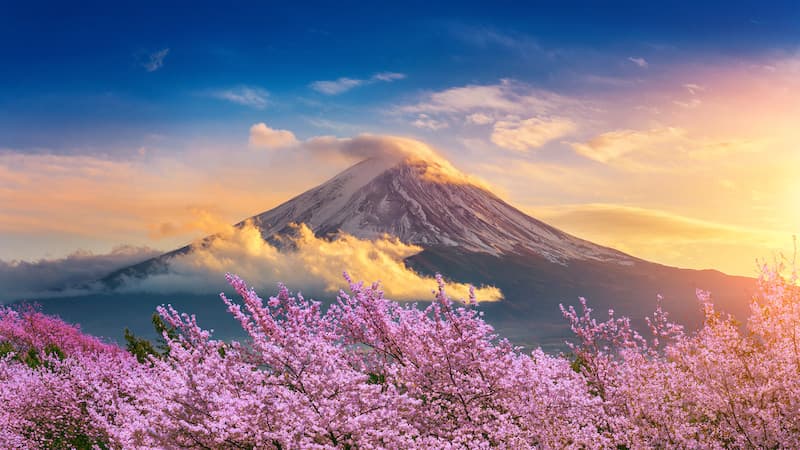 Tour Osaka - Kyoto - Nagoya - Tokyo 5N5Đ từ TP.HCM - Tết Nguyên Đán 2026