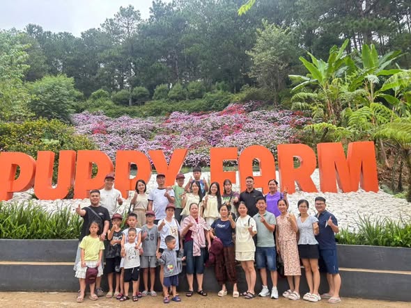 DAM 3N2|06–08/08/2026