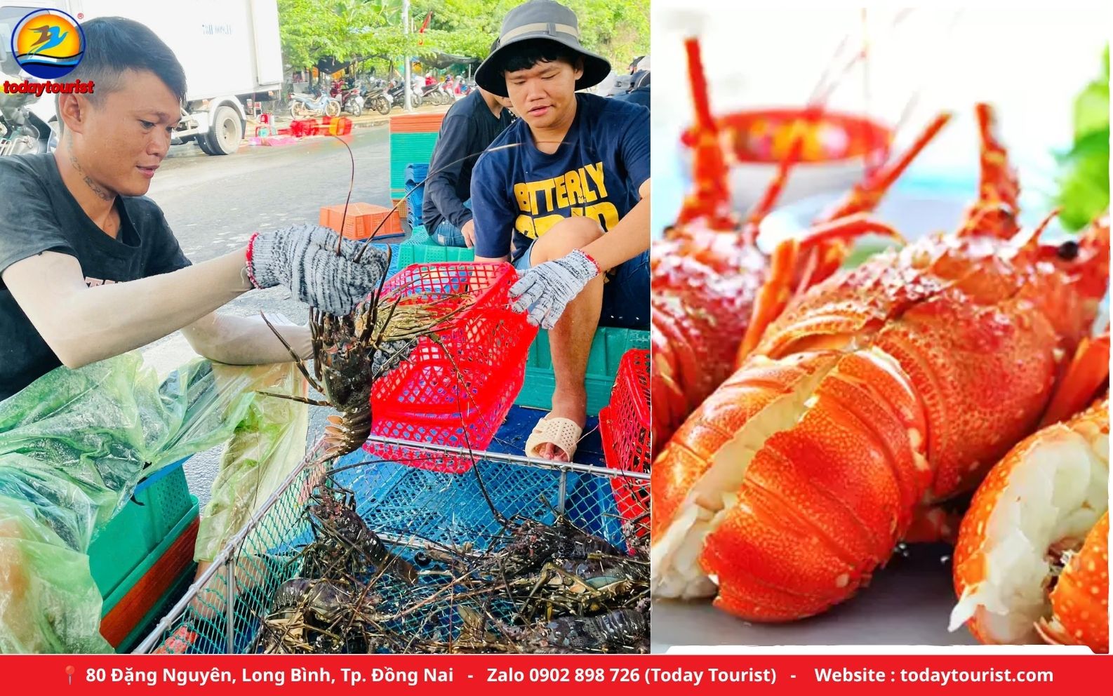  Làng bè nuôi tôm hùm đảo Bình Ba – tour Bình Ba 2N2Đ Today Tourist