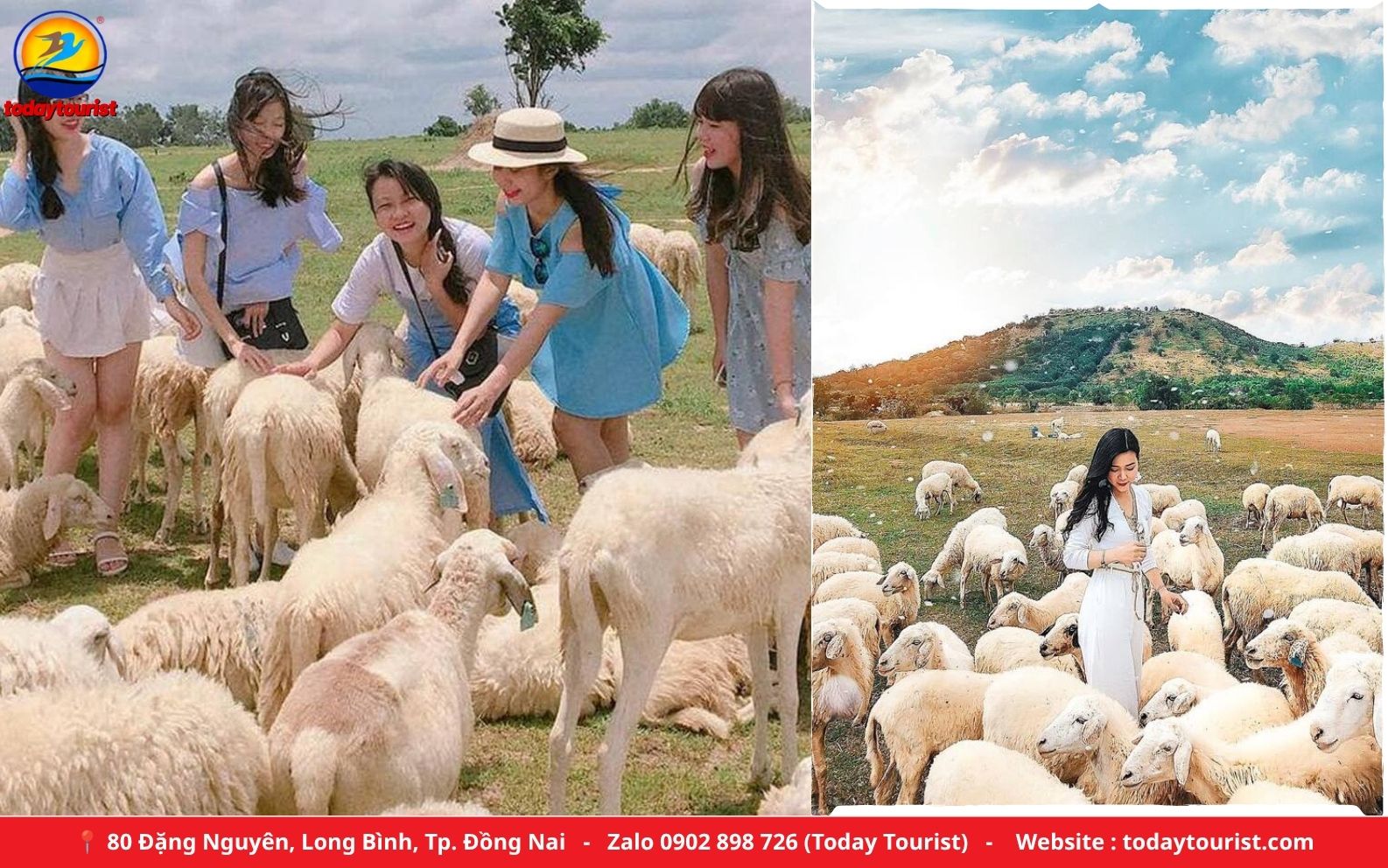 Đồi cừu Suối Nghệ – tour Hồ Cốc / Hồ Tràm 1 ngày Today Tourist