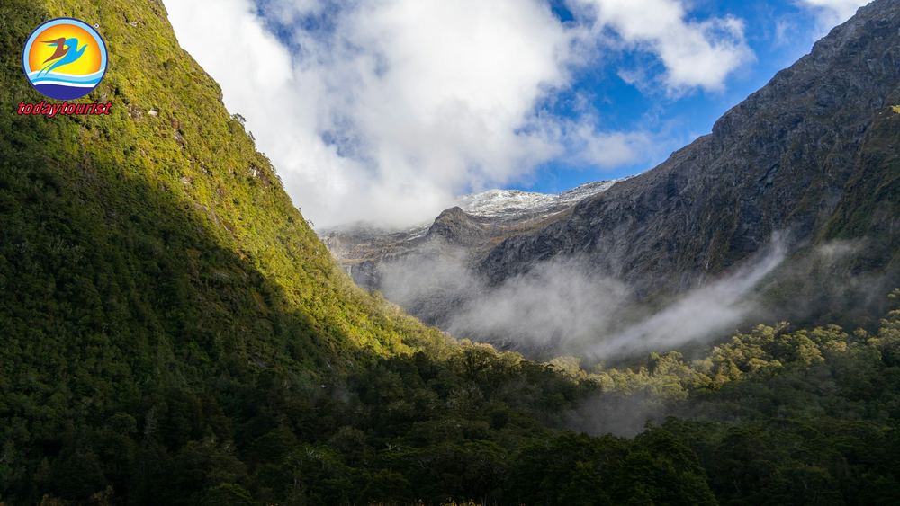 Cảnh quan Fiordland trên hành trình đến Milford Sound. – TodayTourist