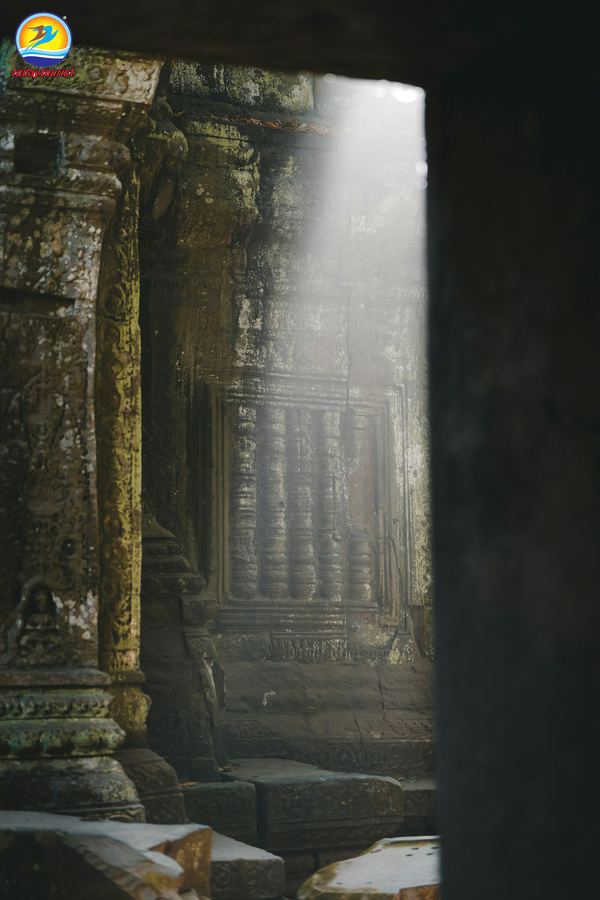 Không gian đền Ta Prohm tại Siem Reap