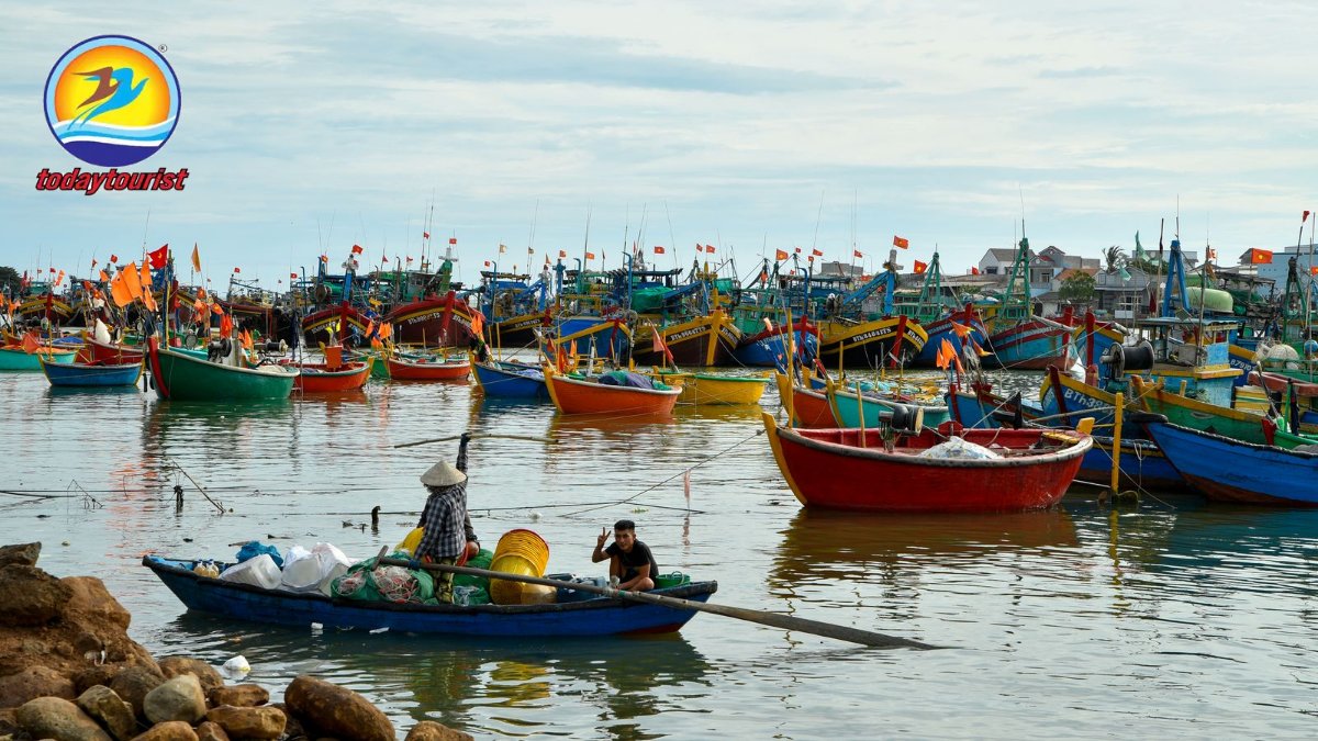 Vibrant fishing boats in Phan Thiet harbor, capturing Vietnamese coast