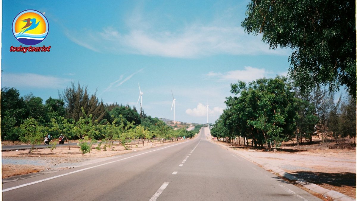 A picturesque road in Phan Thiet, Vietnam, bordered by trees and leadi