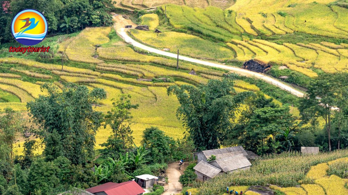 Miền Tây sông nước – TodayTourist