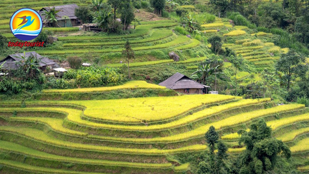 Miền Tây sông nước – TodayTourist