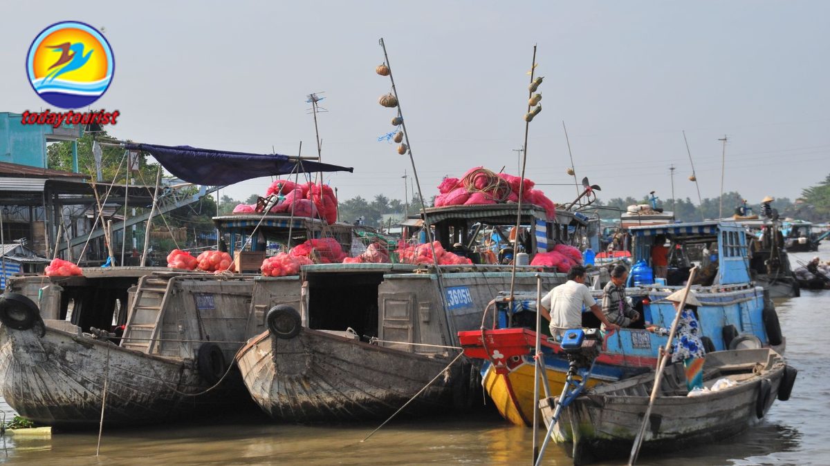 Miền Tây sông nước – TodayTourist