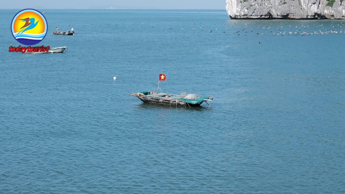 Ninh Chữ – Vĩnh Hy – Bình Hưng – TodayTourist