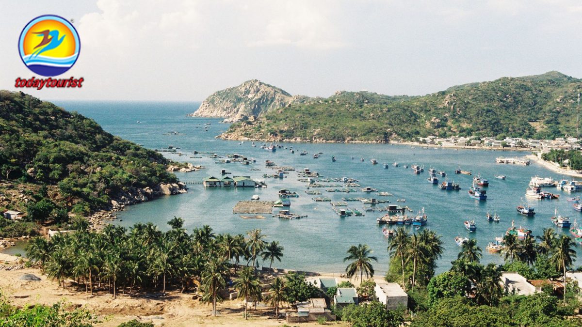 Ninh Chữ – Vĩnh Hy – Bình Hưng – TodayTourist