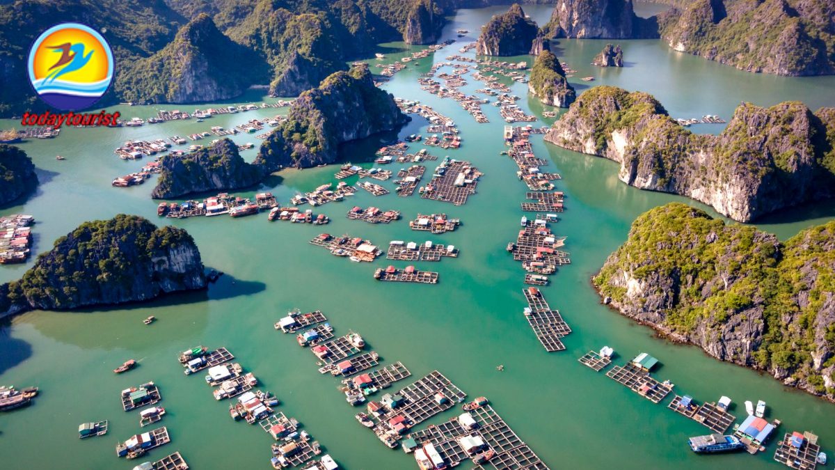Ninh Chữ – Vĩnh Hy – Bình Hưng – TodayTourist