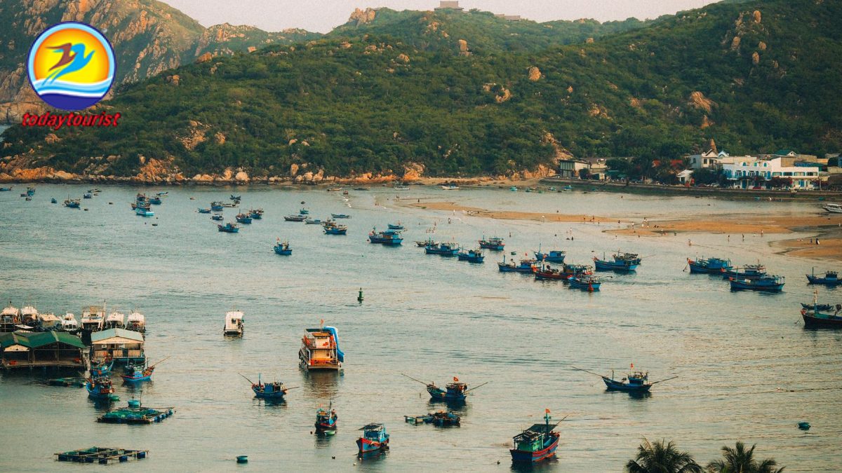 Ninh Chữ – Vĩnh Hy – Bình Hưng – TodayTourist