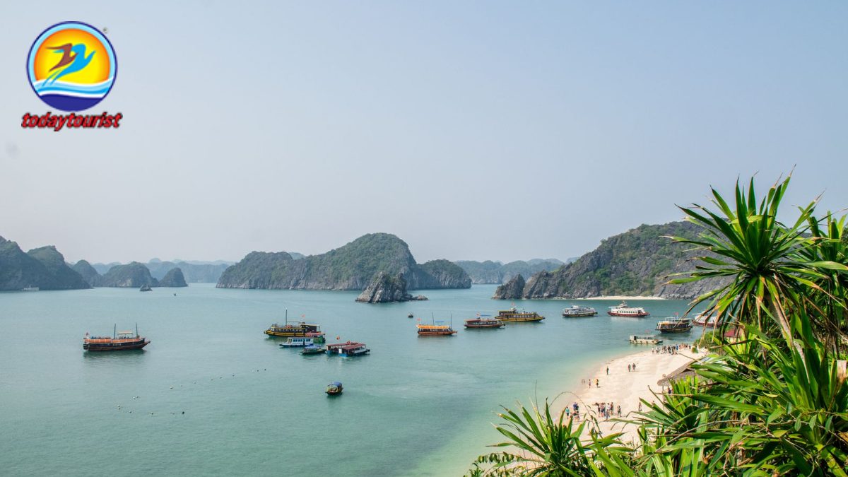 Ninh Chữ – Vĩnh Hy – Bình Hưng – TodayTourist
