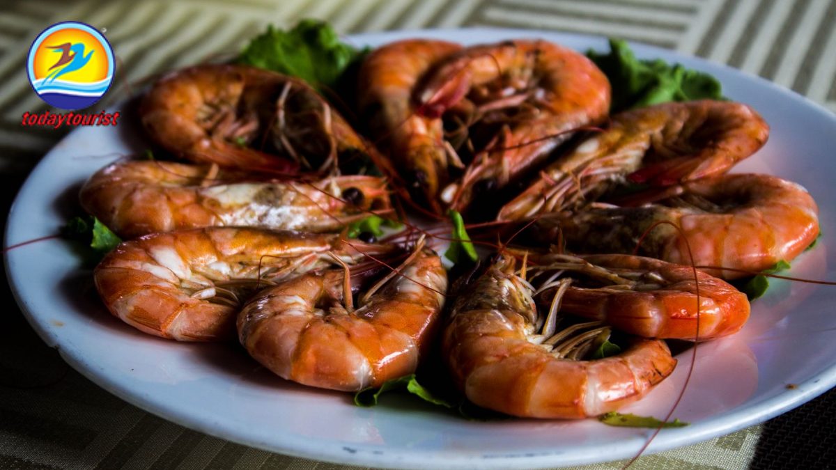 Ninh Chữ – Vĩnh Hy – Bình Hưng – TodayTourist