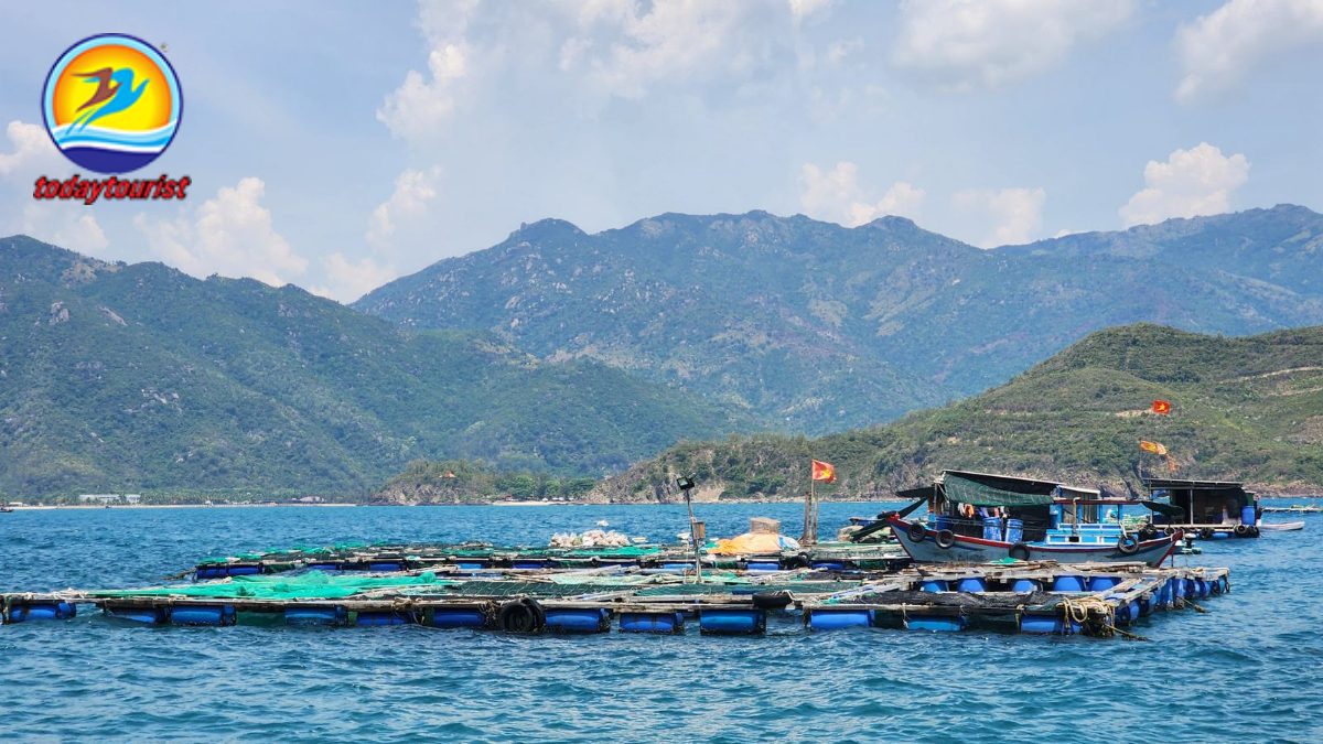 Ninh Chữ – Vĩnh Hy – Bình Hưng – TodayTourist