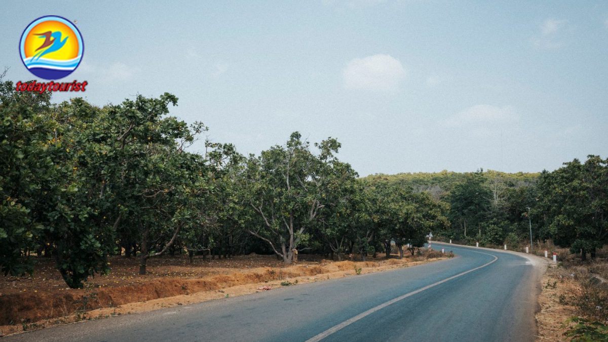 Tây Nguyên – TodayTourist