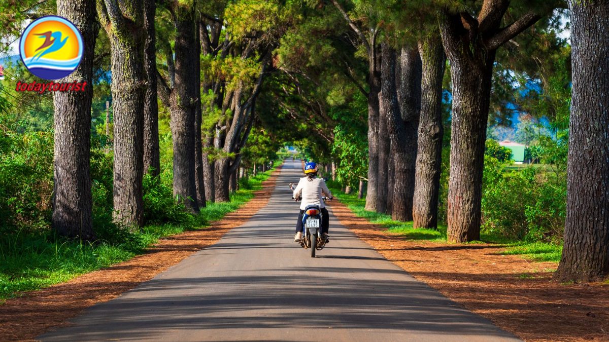 Tây Nguyên – TodayTourist