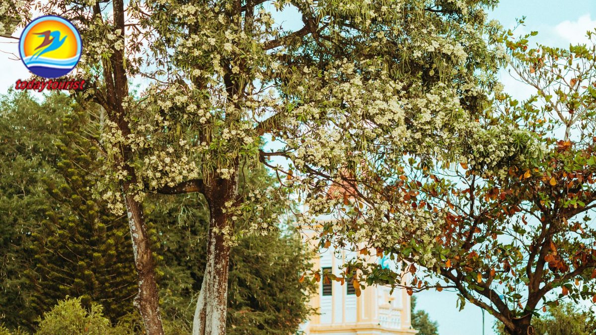 Tây Nguyên – TodayTourist
