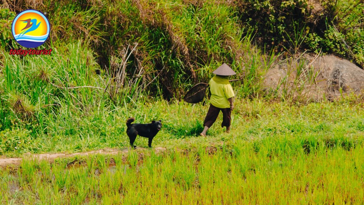 Tây Nguyên – TodayTourist