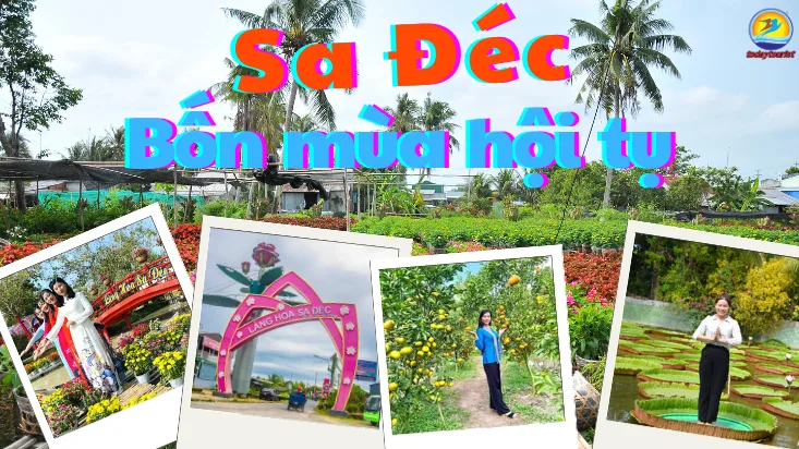 Tour Làng Hoa Sa Đéc 1 Ngày - Giá 780.000đ